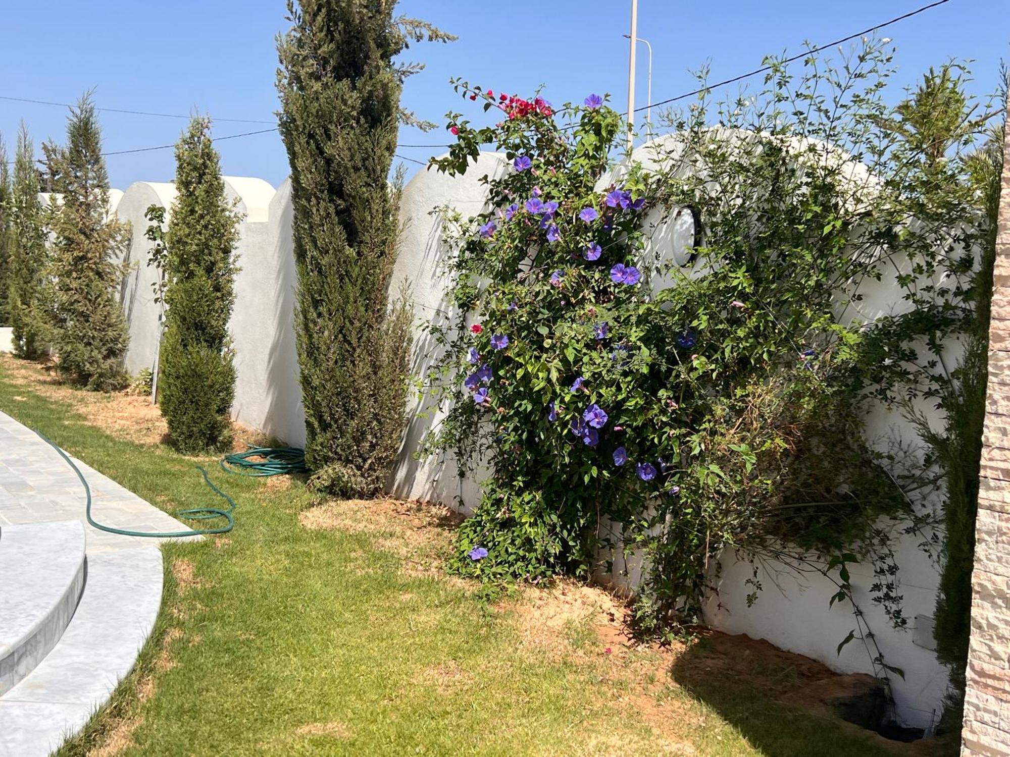 Villalina Haut Standing Djerba Ajim Exterior photo